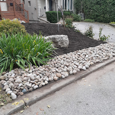 Allenby Toronto Front Yard Cleanup After by Paul Jung Gardening Services--a Toronto Organic Gardening Company