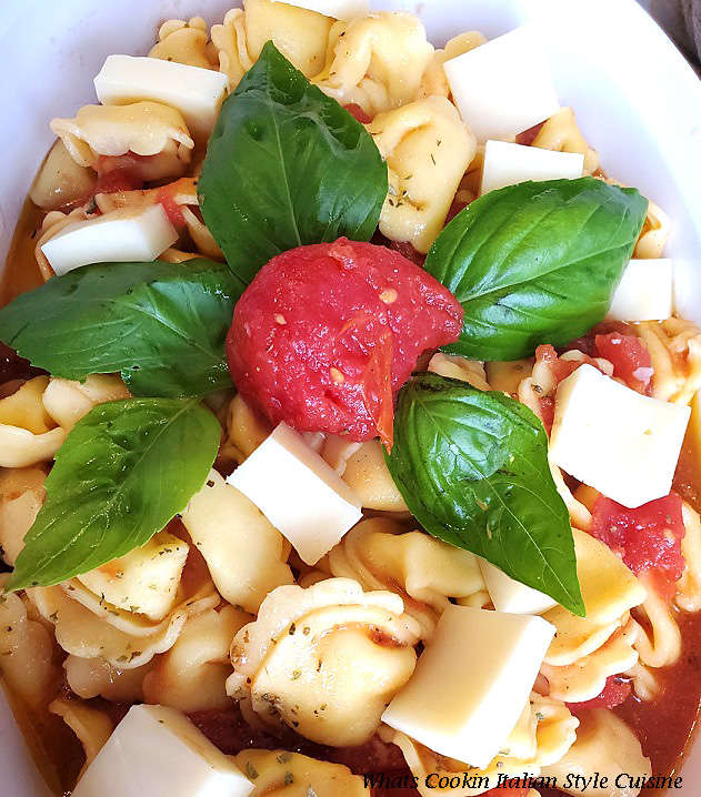 This is fresh tortellini pasta with Italian dressing, mozzarella, tomatoes and fresh basil on top in a white pasta dish