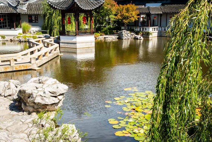 Dunedin Chinese Garden