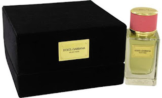 15 Parfum Dolce Gabbana D&G yang Enak Untuk Wanita Wanginya Tahan Lama Paling Bagus Terlaris 2019 G yang Enak Untuk Wanita Wanginya Tahan Lama Paling Bagus Terlaris 15 Parfum Dolce Gabbana D&G yang Enak Untuk Wanita Wanginya Tahan Lama Paling Bagus Terlaris 2019