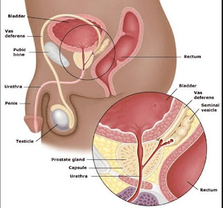 Men Must Have Sex At Least 21 Times A Month To Avoid Prostate Cancer