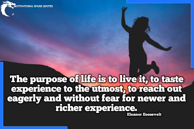 Quotes about Eleanor Roosevelt-Quotes from Eleanor Roosevelt - Quotes of eleanor Roosevelt-famous quotes of eleanor Roosevelt-Quotes from Elenor roosevelt- Eleanor Roosevelt Quotes
