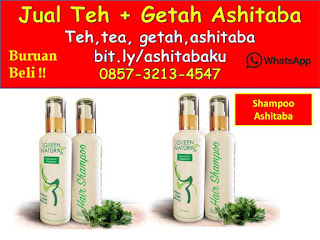 0857-3213-4547 Cara Mengkonsumsi Daun Ashitaba dan Getah Ashitaba 0857-3213-4547 Cara Mengkonsumsi Daun Ashitaba dan Getah Ashitaba