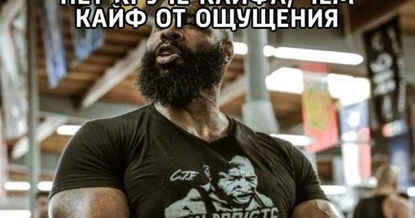 Круче нету. Круче нету
