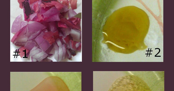 Active Onions Science Experiment, Giveaways Guest Post!! | Preschool