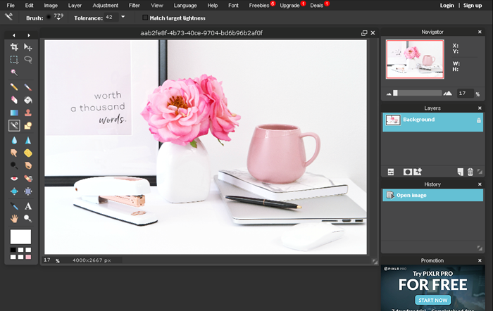 Duas alternativas gratuitas ao Photoshop Pixlr - alternativa gratuita ao Photoshop que é fácil de usar!