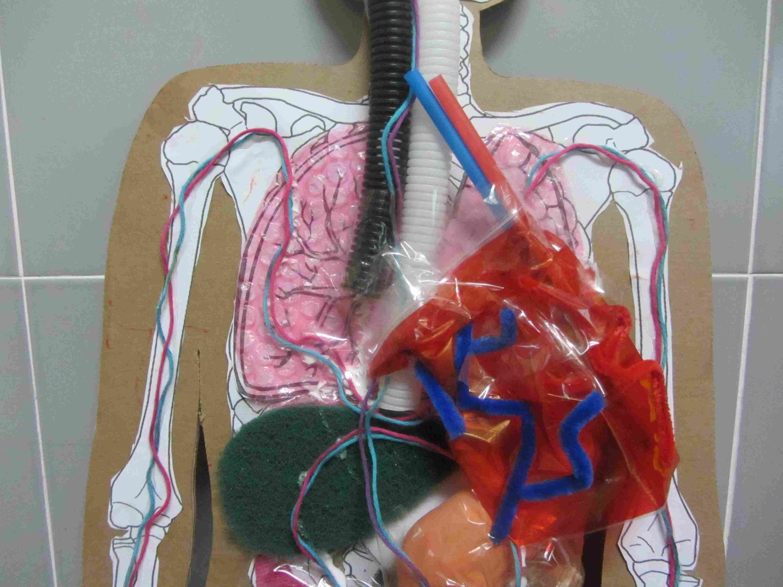Como Hacer Un Corazon Humano Con Material Reciclable Acerca De Materiales