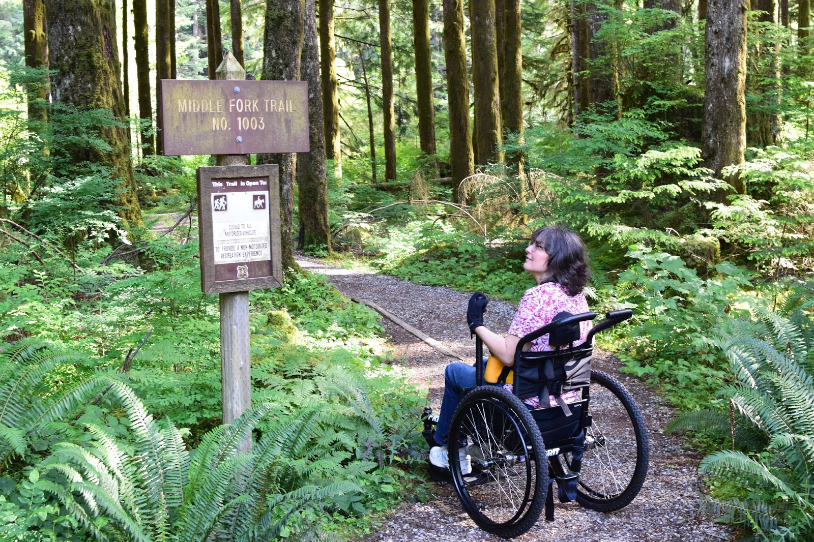Wheelchair Wandering Middle Fork of the Snoqualmie River