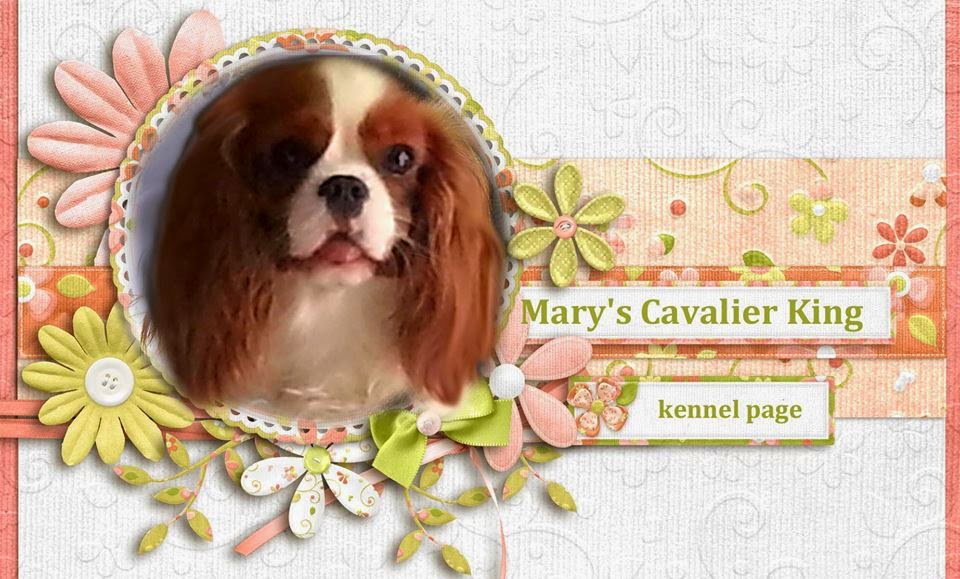 Mary's Cavalier King - Kennel Page