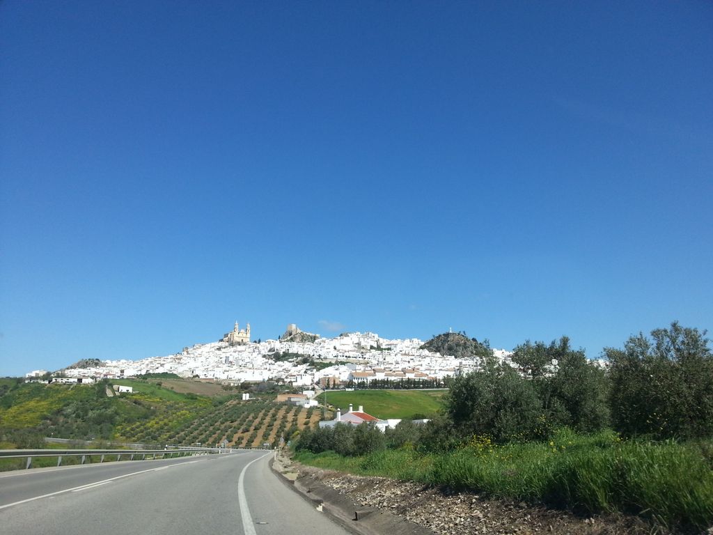 Zona Rural: Volver al medio rural con una idea bajo el brazo