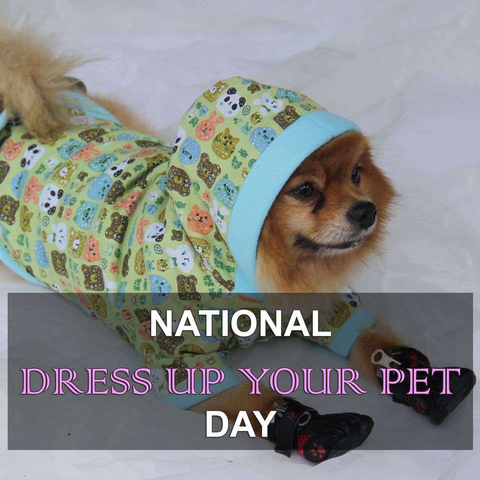 National Dress Up Your Pet Day Wishes Pics