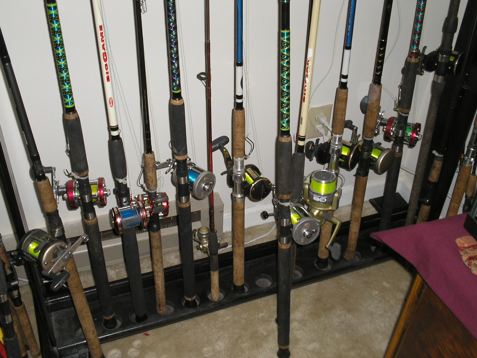 Chasing Monster Cat's The Rod's & Reel's