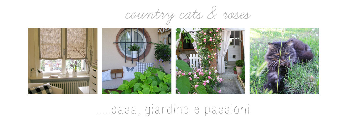 countrycatsandroses