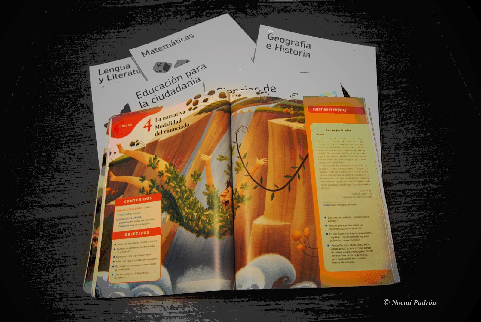 C.E.I.P. ADÁN DEL CASTILLO: agosto 2012