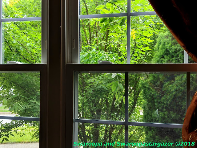 Window, greenery, divine, writing