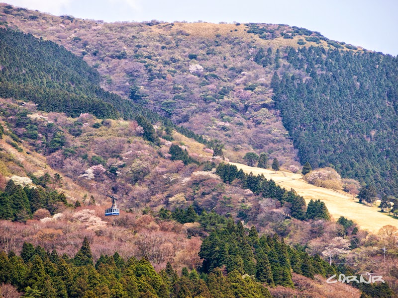 Hakone