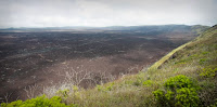 Volcan Wolf Isabela Island Galapagos