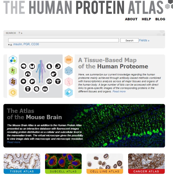 News in Proteomics Research While we're on the topic of Atlases A