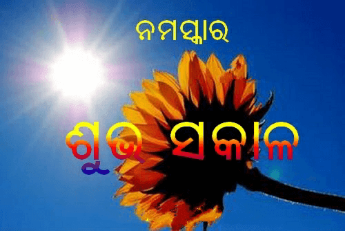 odia good morning shayari, odia good morning status, odia good morning quotes, odia good morning shayari, good morning quotes in odia, odia good morning status