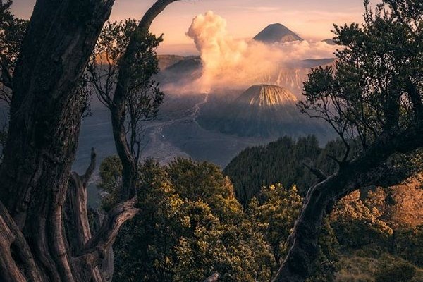 Gunung Bromo Erupsi Ini Fakta Uniknya yang Wajib Kamu Tahu