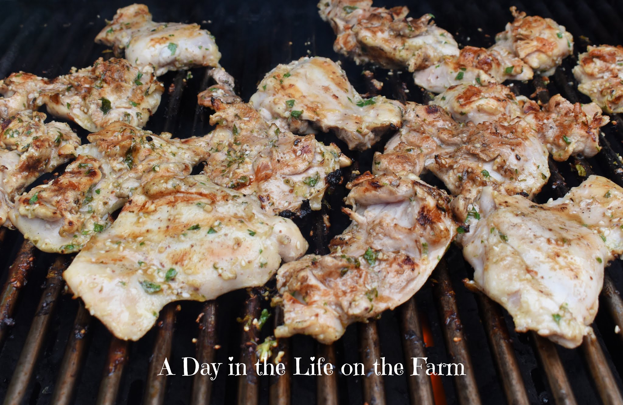 A Day in the Life on the Farm Garlic and Herb Marinated Chicken Thighs