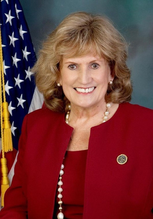 Jo Ciavaglia's portfolio Rep. Katharine Watson's bill would create