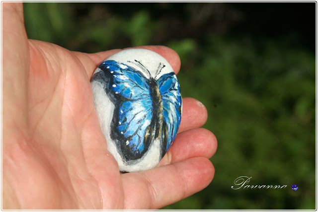 motyle świata, Butterflies of the world, painting on the rock, rock art, stone art. Morpho cipris