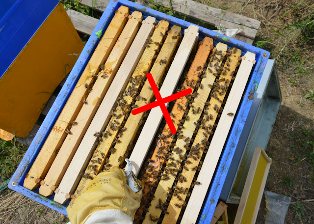 Σφίξιμο μελισσιών: Ο πρώτος σύμμαχος του φθινοπώρου για δυνατά μελίσσια. Μερικές extra συμβουλές!!!