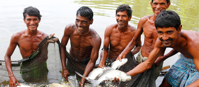 At %, Odisha fish production growth highest – Odisha News Tune