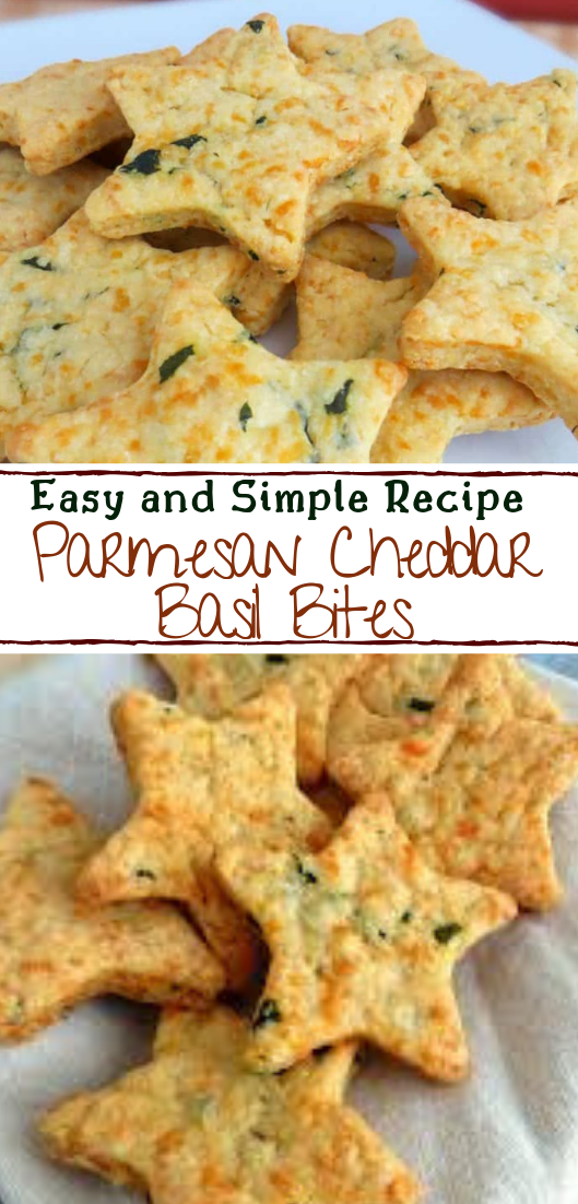 Parmesan Cheddar Basil Bites vegan vegetarian soup breakfast lunch