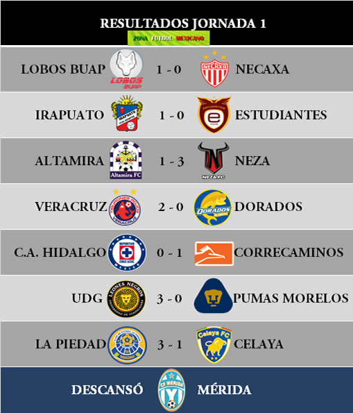Zona Futbol Mexicano Estadísticas Liga de Ascenso