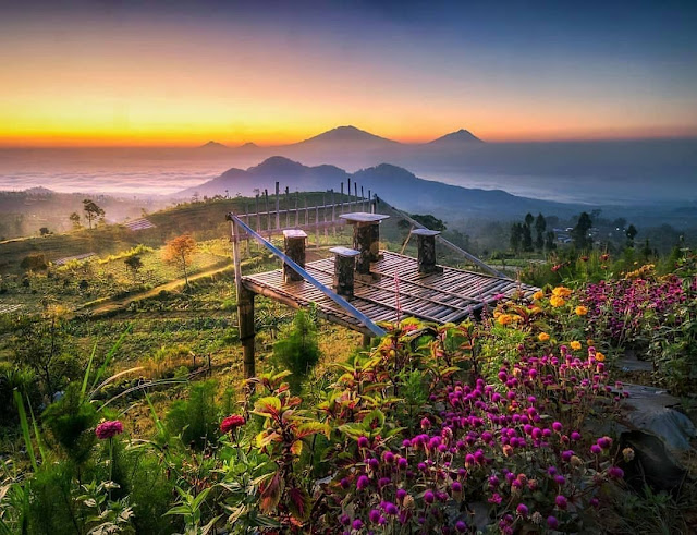 Spot Wisata Sunrise Terbaik Di Magelang -  Sunrise di Silancur Highland Mangli