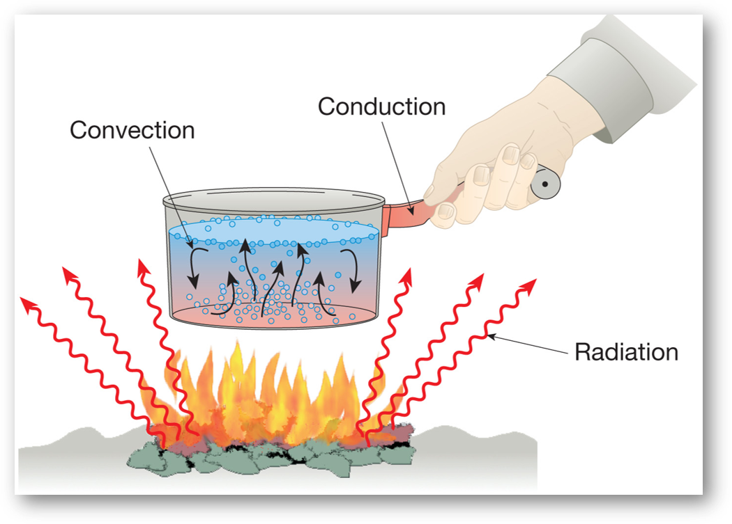 CHEF Q What is Meaning of Cooking in Culinary Knowledge?