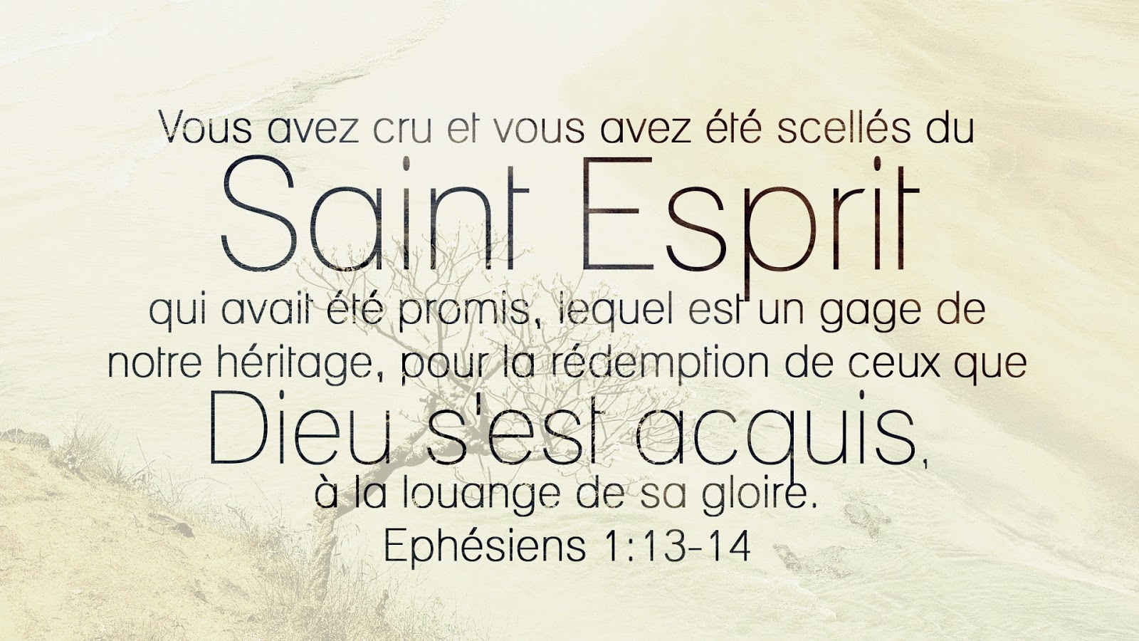 Scellés du Saint Esprit