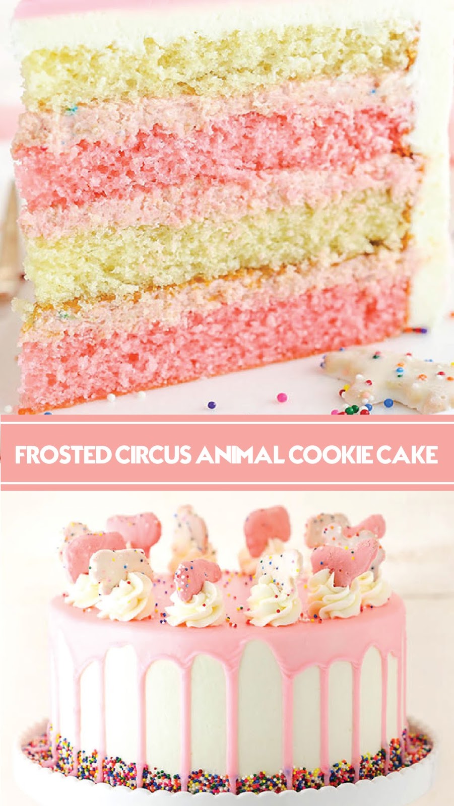 FROSTED CIRCUS ÁNIMÁL COOKIE CÁKE Recipe Spesial Food