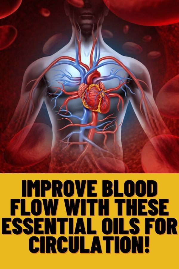 Improve Blood Flow with these Essential Oils for Circulation! Healthy Lifestyle