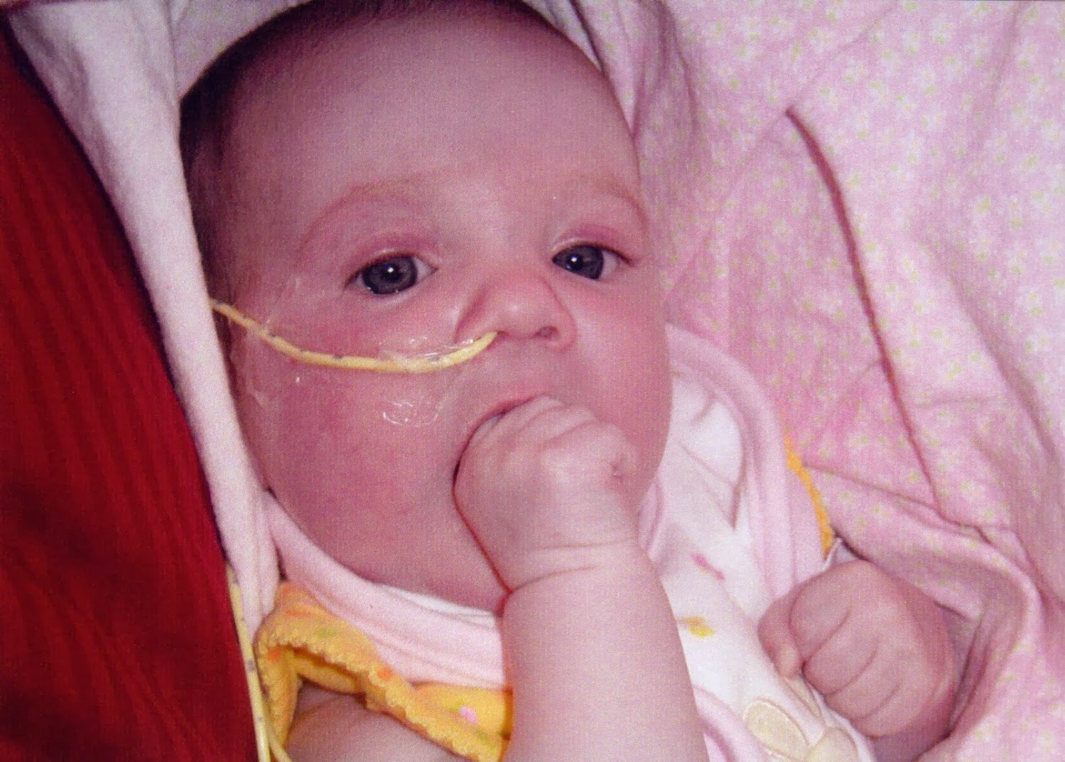 House of Fauci's The Birth of my Sweet Lexi In Honor of CHD Awareness