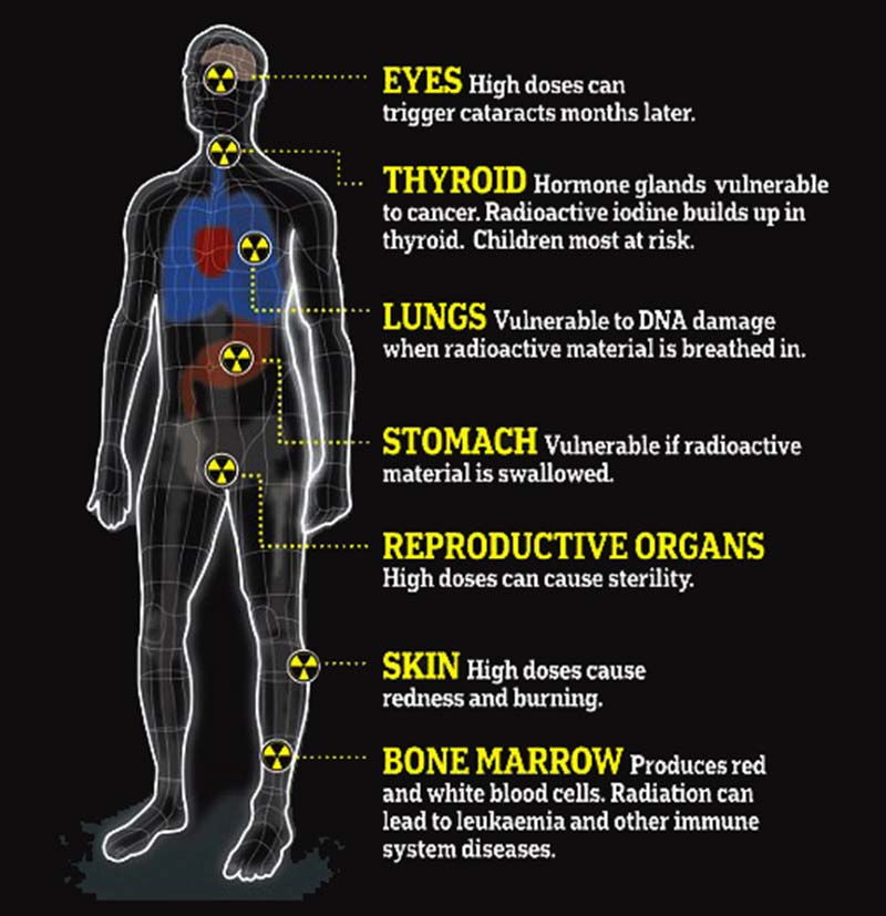 Important Questions You Should Ask Your Radiologist Dr Farrah MD