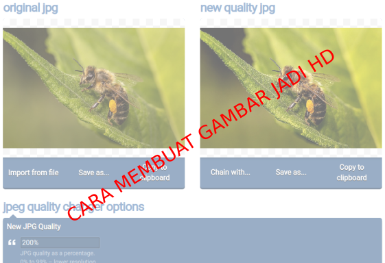 Cara Membuat Gambar Menjadi HD Online via Android dan PC - Caraguha