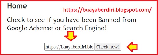 Dilarang, Daftar Ulang, dan Menang: Kisah Blogger yang Berjuang Melawan Ban Adsense