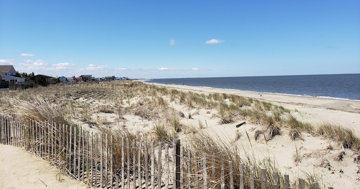 Broadkill Beach Using Dunes to Save This Stretch of the Delaware Bay