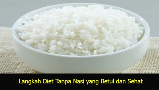Langkah Diet Tanpa Nasi yang Betul dan Sehat