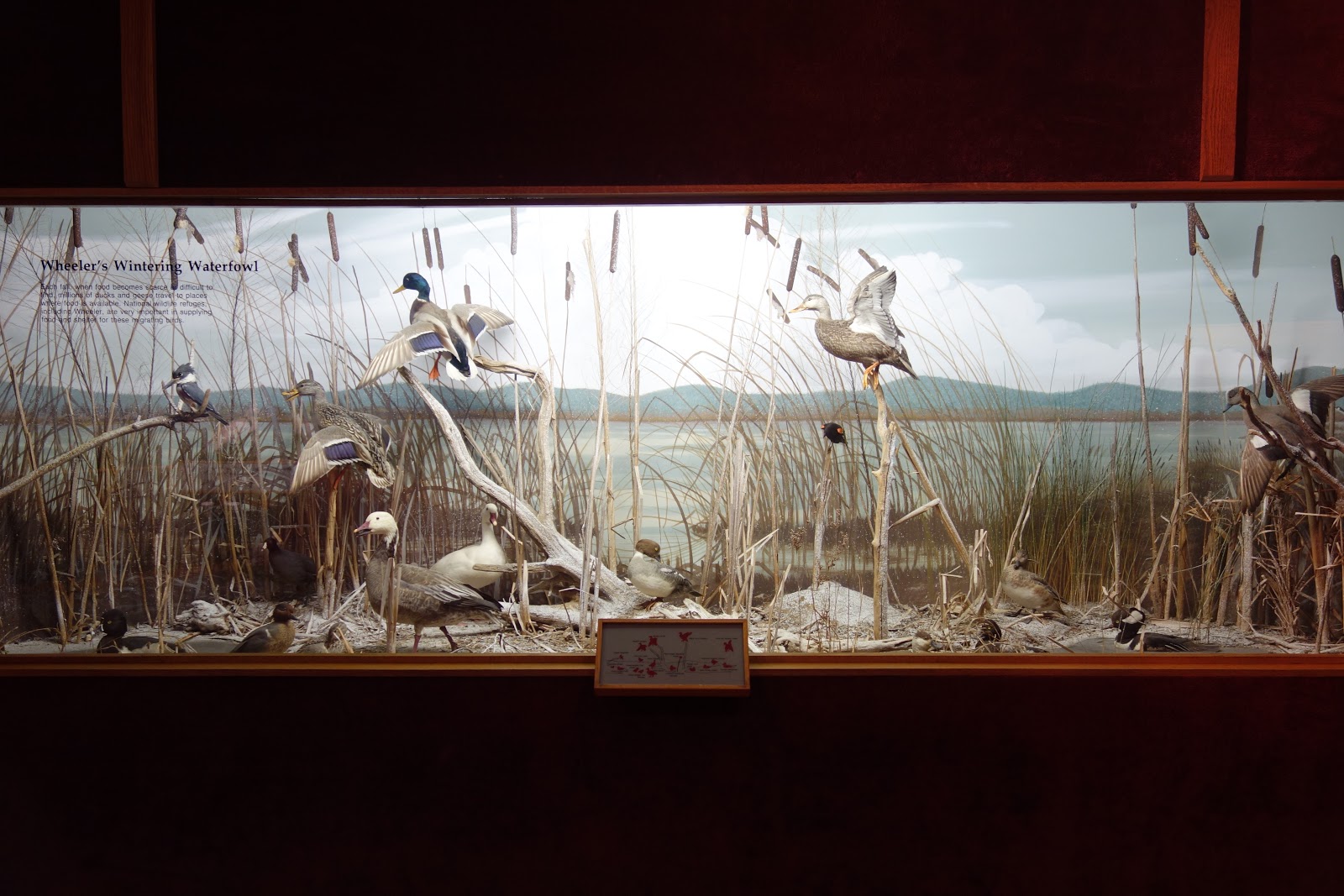 Susan's Festival of the Cranes