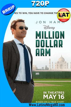 El Chico Del Millón De Dolares (2014) Latino HD 720p (2014)