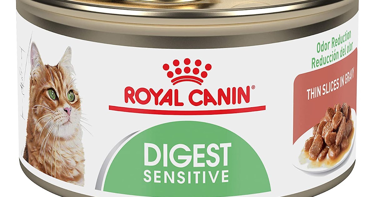 Best Cat Food For Sensitive Stomach