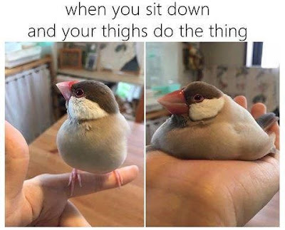 When you sit down and your thighs do the thing.