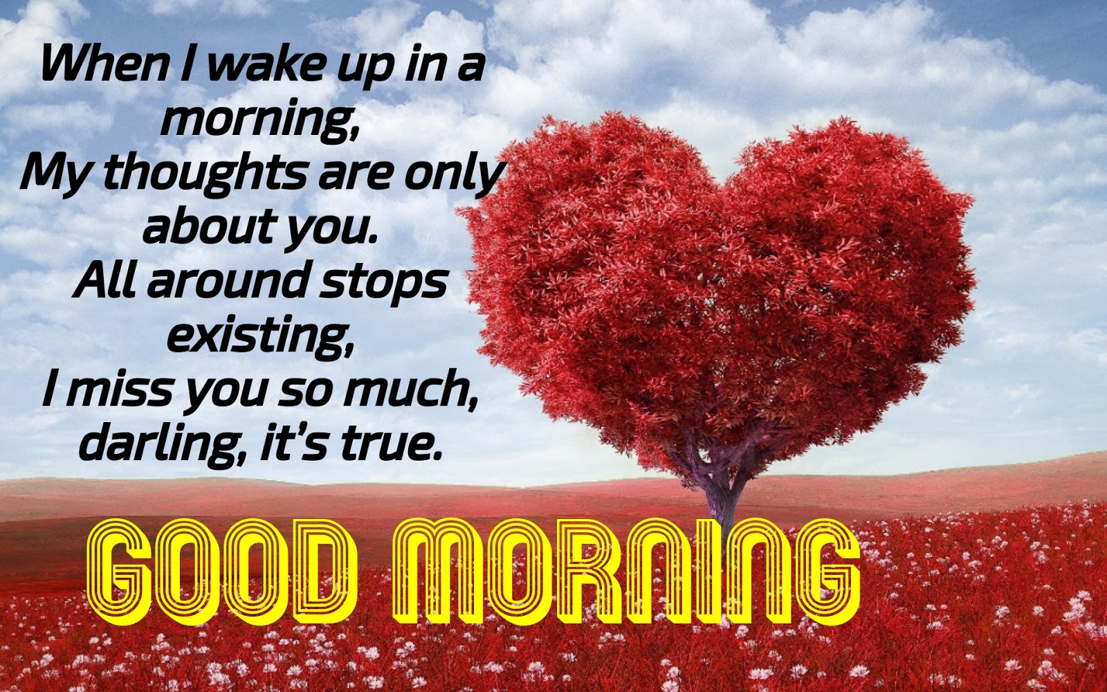 Best good morning quotes for love