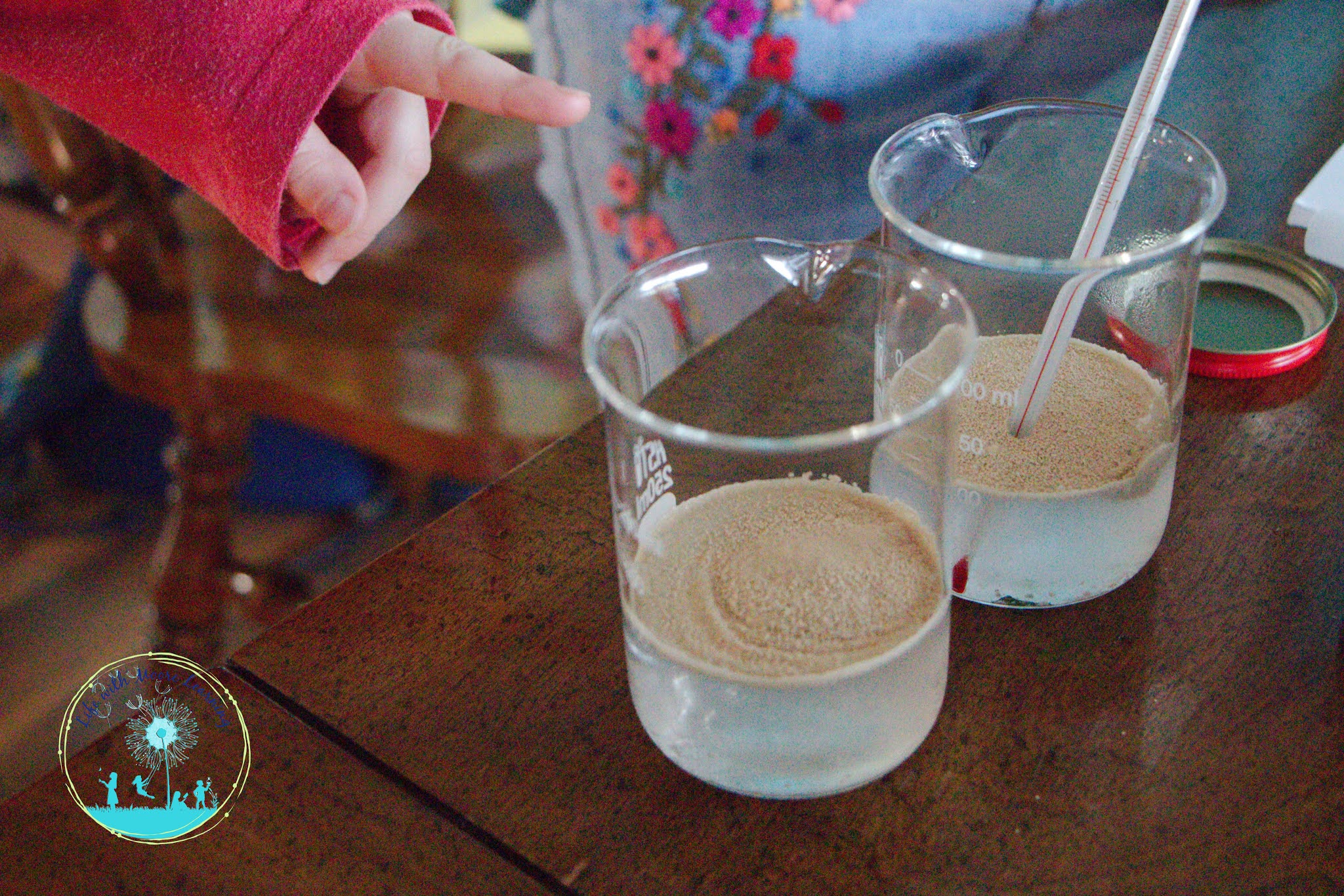 What Increases Yeast Growth; Simple Science Experiment Life with