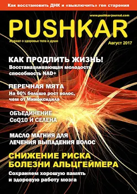 ЖУРНАЛ PUSHKAR №1 АВГУСТ 2017