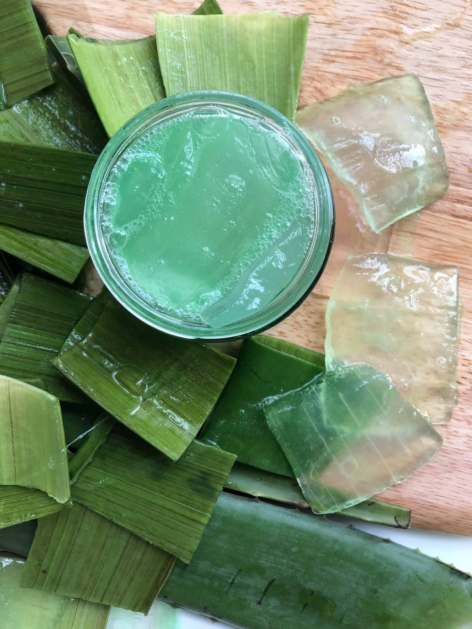 DIY ALOE VERA GEL LEAVEIN CONDITIONER